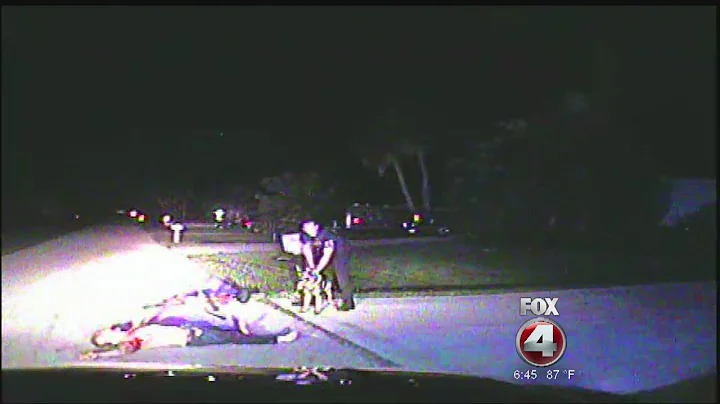 Man sues Punta Gorda Police for excessive force, d...
