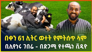 በቀን 61 ሊትር ወተት የምትሰጥ ላም | ቆይታ ከቢሊየነሩ እስክንድር ዮሴፍ ጋር | በድጋሚ የተጫነ ቪዲዮ | business | |Ethiopia | Gebeya
