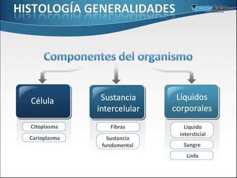 1 Histología Introducción