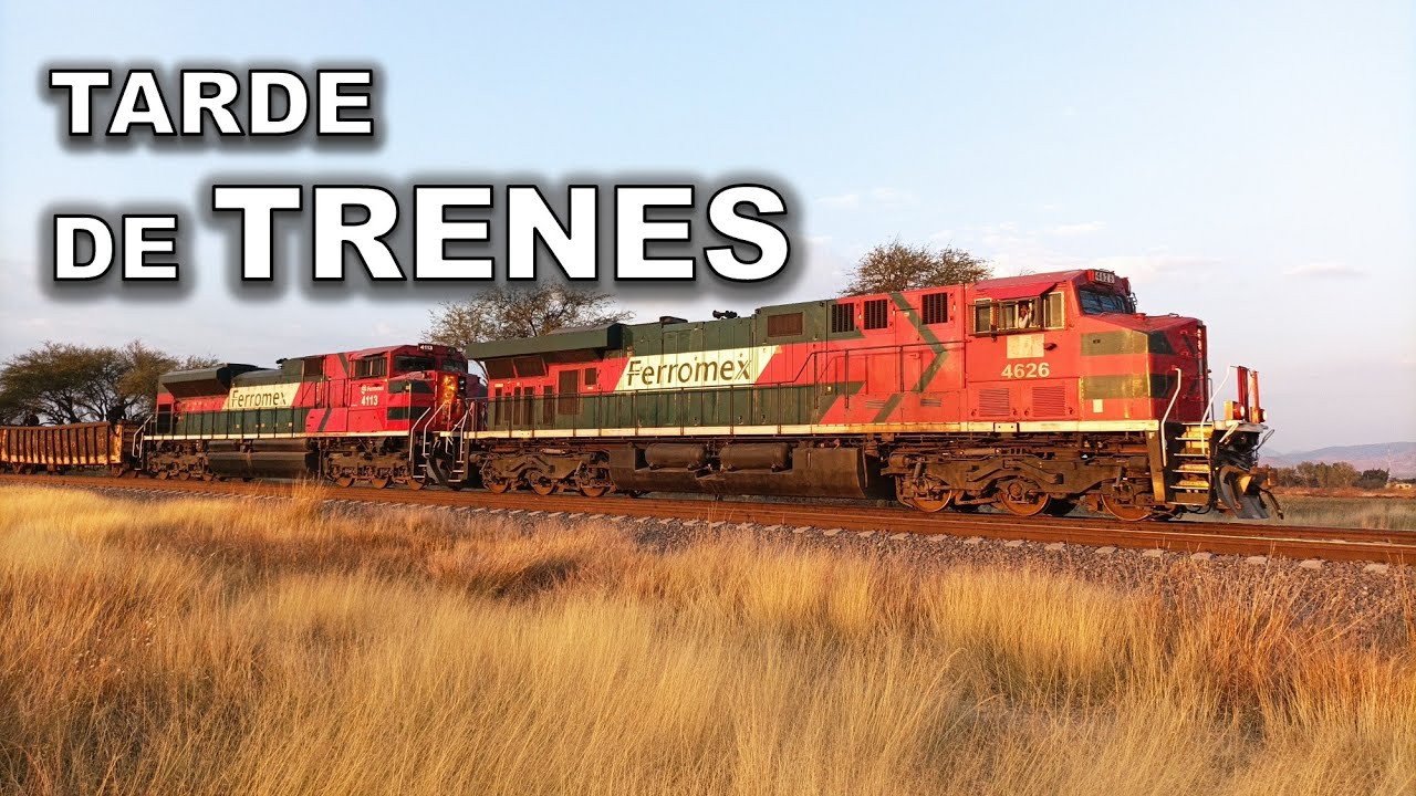 casi nos vamos de la via y aparecen 5 Trenes de Ferromex