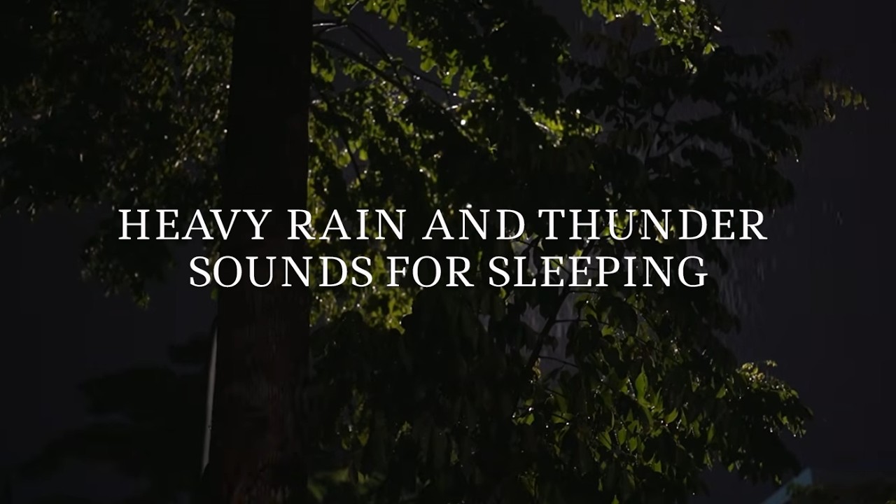 Heavy Rain and Thunder Sounds for Sleeping – No Ads • Night Rain for ...