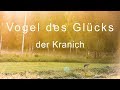 Vogel des Glücks  Der Kranich (Kranichfilm, Cranemovie) | Gamander López 2018