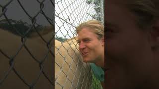 Adorable Rare White Lions  | Bondi Vet #shorts