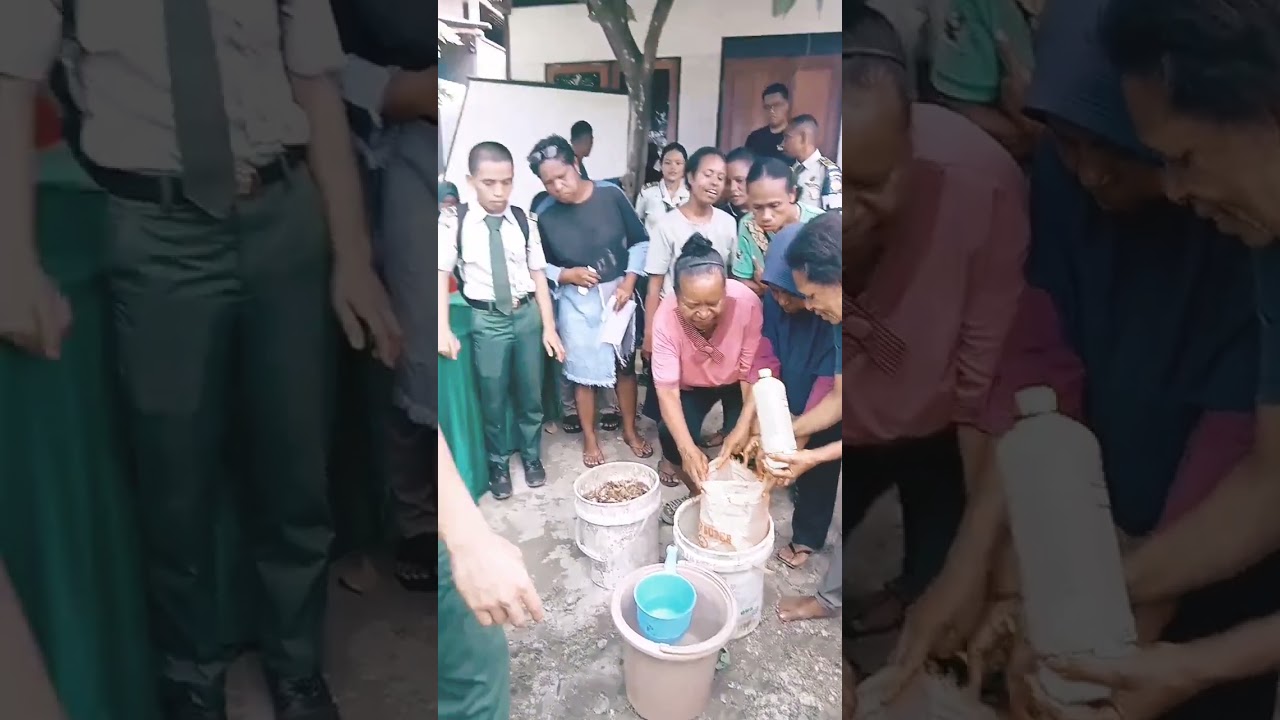 penyuluhan yang di lakukan oleh mahasiswa polbangtan Manokwari