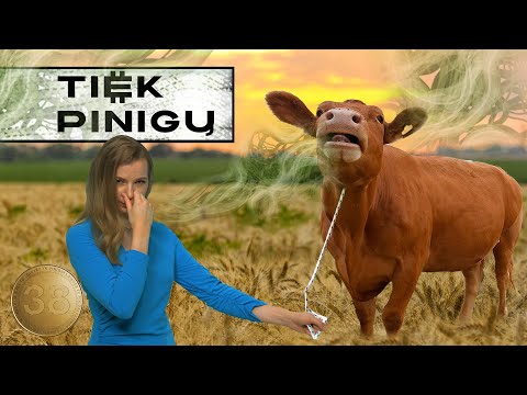 Video: 3 būdai nustoti raugėti