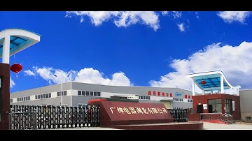 Company Introduction: Our Mission, Vision, and Values