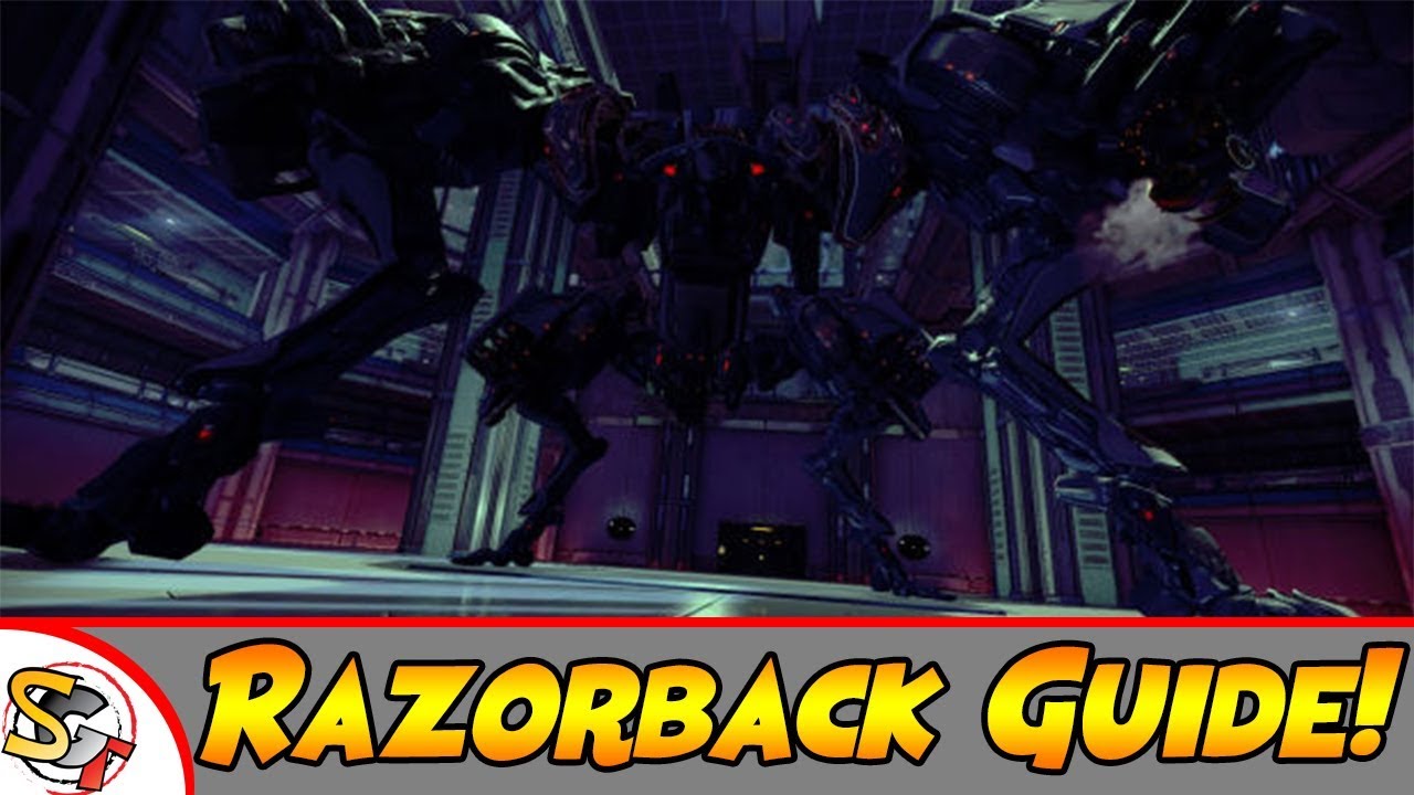 Razorback Armada Guide 2018! YouTube