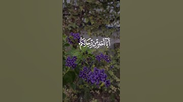 #quran #قرآن #ياسر_الدوسري #احمد_العجمي #explore #تلاوة_خاشعة #تلاوات