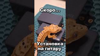 EMG 81\60 #shorts #emg #2026 #guitar #ibanez #like #love #subscribe #lifehacks #funny #mortal