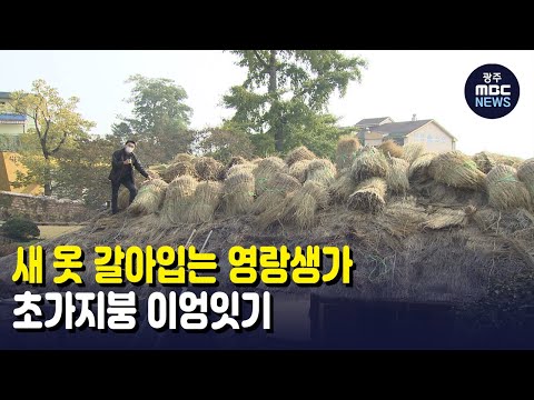 새 옷 갈아입는 영랑생가..초가지붕 이엉잇기 (뉴스데스크 2021.10.27 광주MBC)