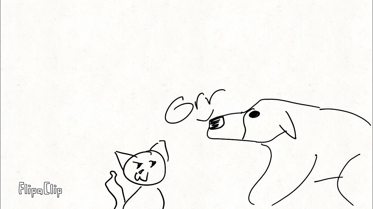 Cat scares bear YouTube