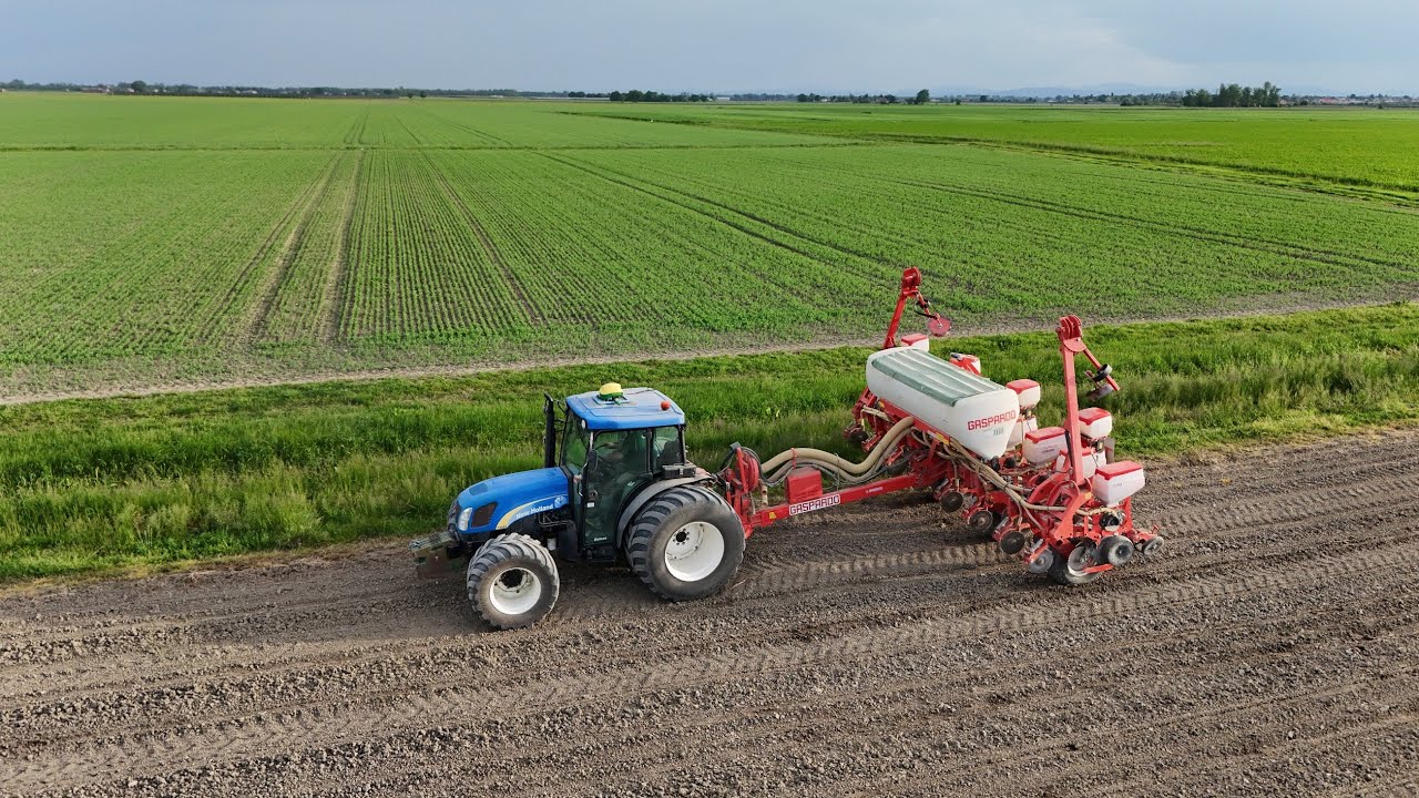 Semina Mais Con New Holland T4050 combinato con una seminatrice Gaspardo Renata da 8 File