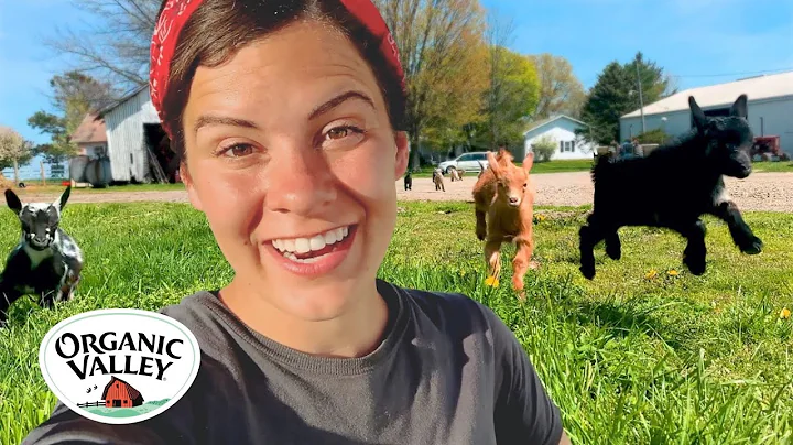 Baby Goats on the Farm | Julia Gasser | Organic Va...