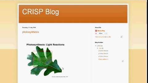 Embedding SWF Files on the blogger
