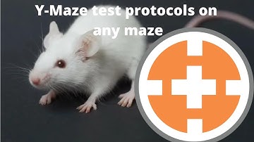 Y-maze test protocols on any maze