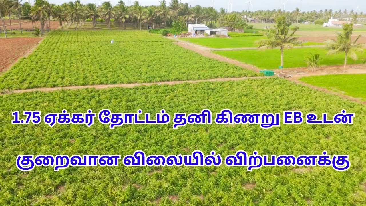 1.75 ஏக்கர் தோட்டம் தனி கிணறு EB உடன் குறைவான விலையில் விற்பனைக்கு