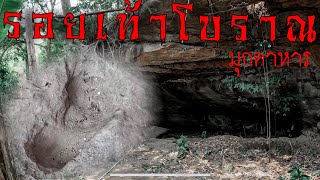 เดินป่าไป￼พิสูจน์รอยเท้า￼โบราณในถ้ำ บ้านมะนาว อ.ดงหลวง จ.มุกดาหาร