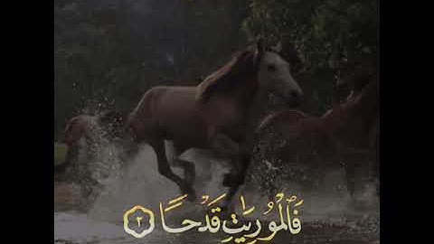 تلاوة هادئة وقصيرة  || القارئ : عبد الرحمن مسعد || سورة : العاديات 🌷💚🌷