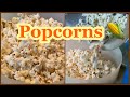 Popcorn || Homemade Popcorn On Stove || Recipe by Merium Pervaiz !!!