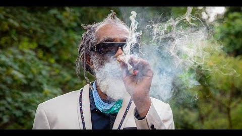 Don Carlos and Dub Vision - Just a Passing Glance at Right Vibes Festival