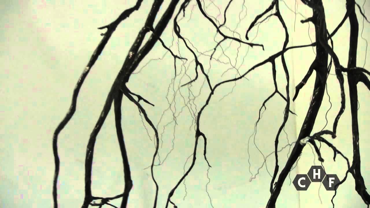 Concepts behind Uprooted