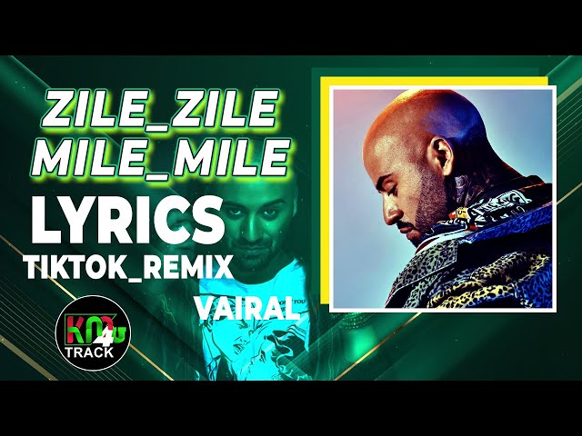 Zile Zile Mile Mile | LYRICS | TikTok Remix class=