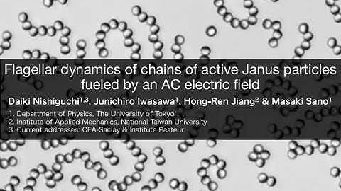 Flagellar Dynamics of Chains of Active Janus Particles Fueled by an AC electric field