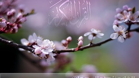 أجمل تلاوة للقارئ الجزائري كمال حماش من ولاية سطيف