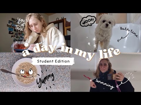 A day in my life as a veterinary student (exam season)