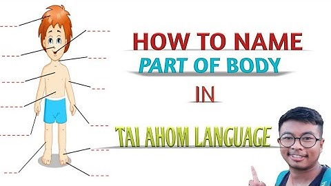 Learn Tai Ai || Aiton || Part of Body Part -1 .