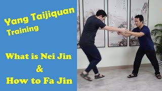Yang Taiji (Tai Chi) Training - Nei Jin and Fa Jin