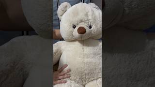 Dry Cleaning Soft Toy At Home