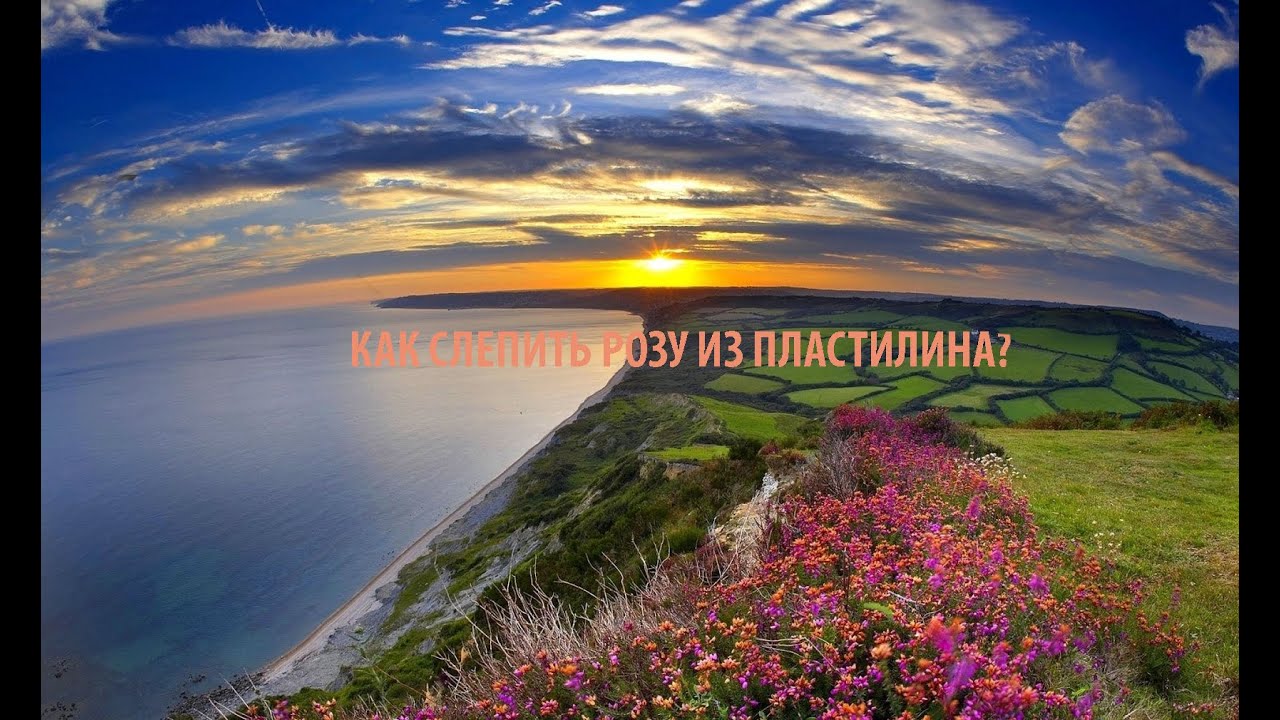 Как слепить розу из пластилина.