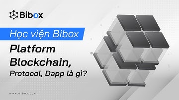 8 - Học viện Bibox - Platform Blockchain, Protocol, Dapp là gì? | Bibox Việt Nam