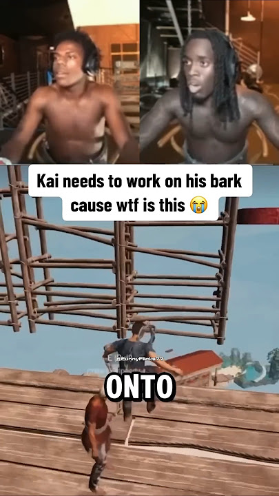 Download lagu The Bark Ain’t It🤣