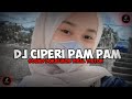 Dj ciperi pam pam kane  sound doraemon viral tiktok