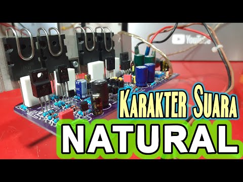 Amplifier Rakitan Karakter Suara NATURAL  -  Blameless PA Amplifier