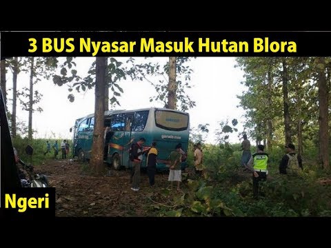 3 BUS Nyasar Masuk Hutan Blora Jawa Tengah