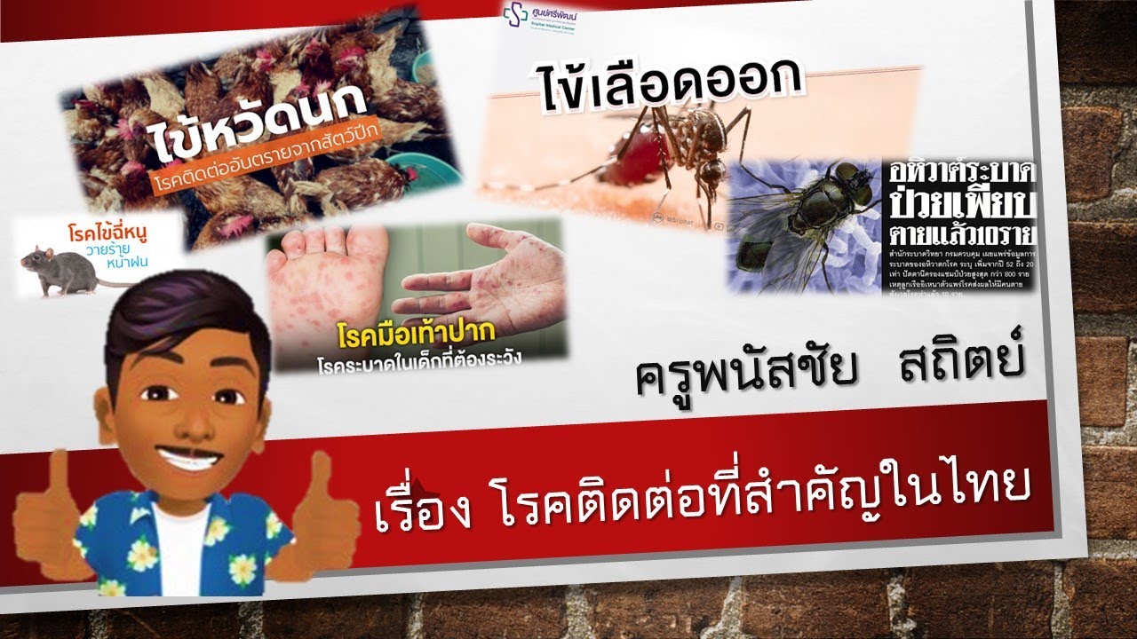 วิชาสุขศึกษาและพลศึกษา ป.6 เรื่องโรคติดต่อที่สำคัญในประเทศไทย ครูพนัสชัย สถิตย