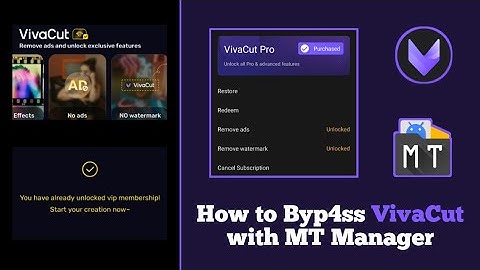 How to Byp4ss VivaCut with MT Manager