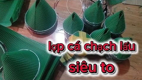 Phụ kiện lợp cá chạch lấu, lợp tép, cá bống dừa 