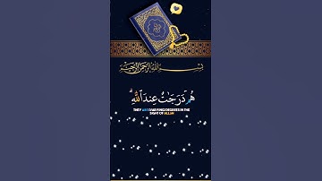 قال تعالى { هم درجات عند الله } بصوت الشيخ ياسر الدوسري - سورة آل عمران 🤍 قرآن بصوت جميل