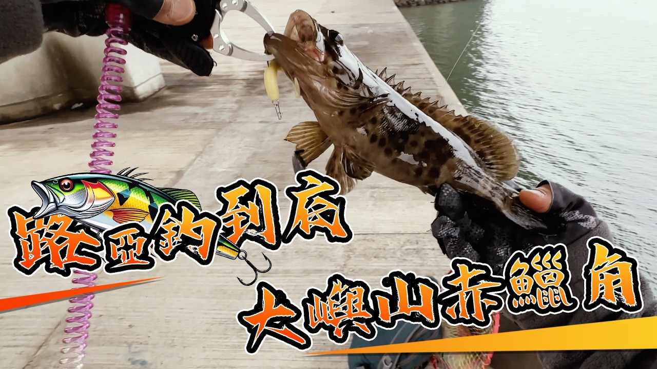 大嶼山赤鱲角｜#路亞釣到底｜#路亞｜#假餌｜#釣魚｜#自由釣組｜#根釣｜#香港岸釣｜#lurefishing｜#bfsfishing｜#rockfishing