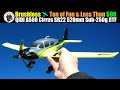 Ton of Fun and Less Than $90 | QIDI A580 Cirrus SR22 520mm Wingspan RTF