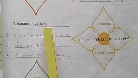 Std  4, English Unit 5, Here We Are Dancing, Activity 10,11,12,13