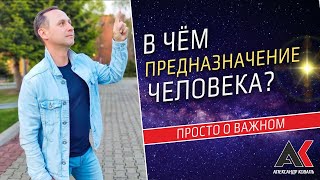 В Чем Предназначение Человека? Можно Ли Найти Смысл Жизни И Как Определить Призвание