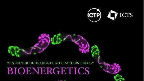 Resource Partitioning and Energy Metabolism by Amitesh Anand