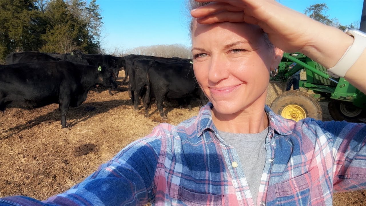 It Was a BIG Christmas for the Cows! - YouTube