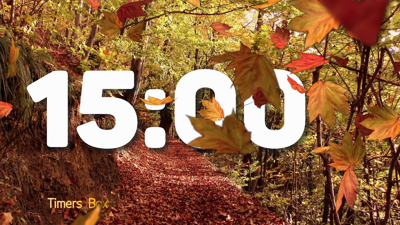 Fall 15 Minute Autumn Timer 🍂 Relaxation, Nature Ambience, Relief 