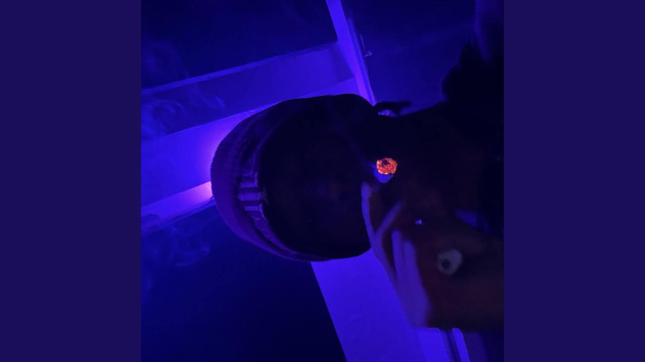 Watch dolo bop on YouTube Watch dolo bop on YouTube